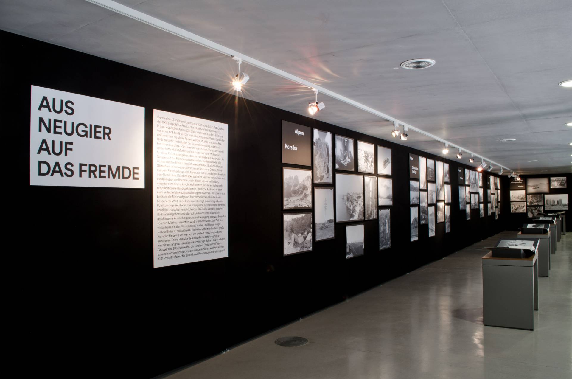 Ausstellungsgrafik »Aus Neugier auf das Fremde« für die Leopoldina – Nationale Akademie der Wissenschaften, Halle